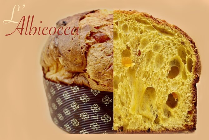 Panettone Albicocca